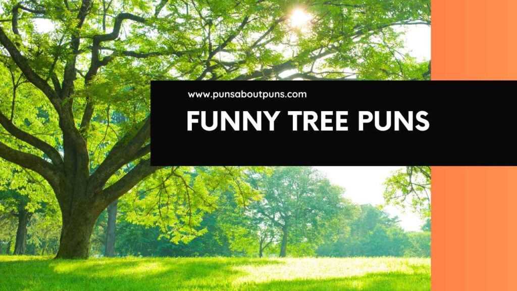 Funny Tree Puns to Leaf You Smiling