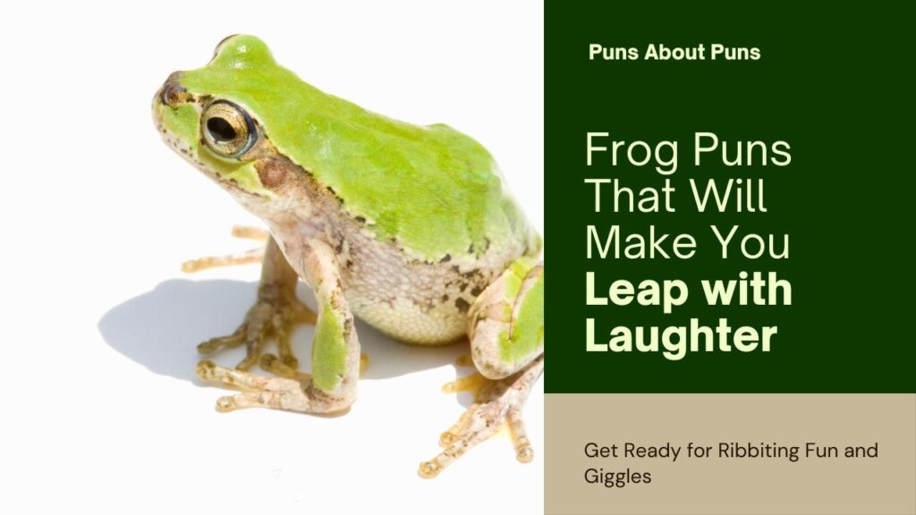 250 Frog Puns That Will Leap Right into Your Heart