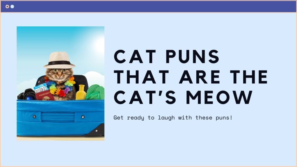 Cat Puns That Are the Cat’s Meow