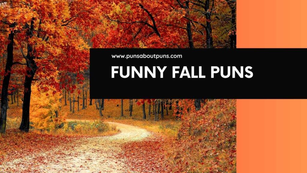 Funny Fall Puns That Will Leaf You Laughing All Season Long. Fall Instagram captions and Jokes