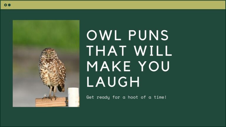 Funny Owl Puns That Are a Real Hoot. Ultimate Owl Jokes and memes.