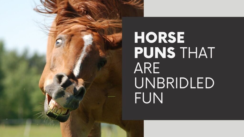 Horse Puns That Are Unbridled Fun