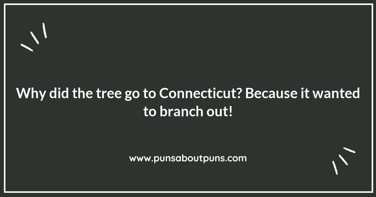 Connecticut Puns