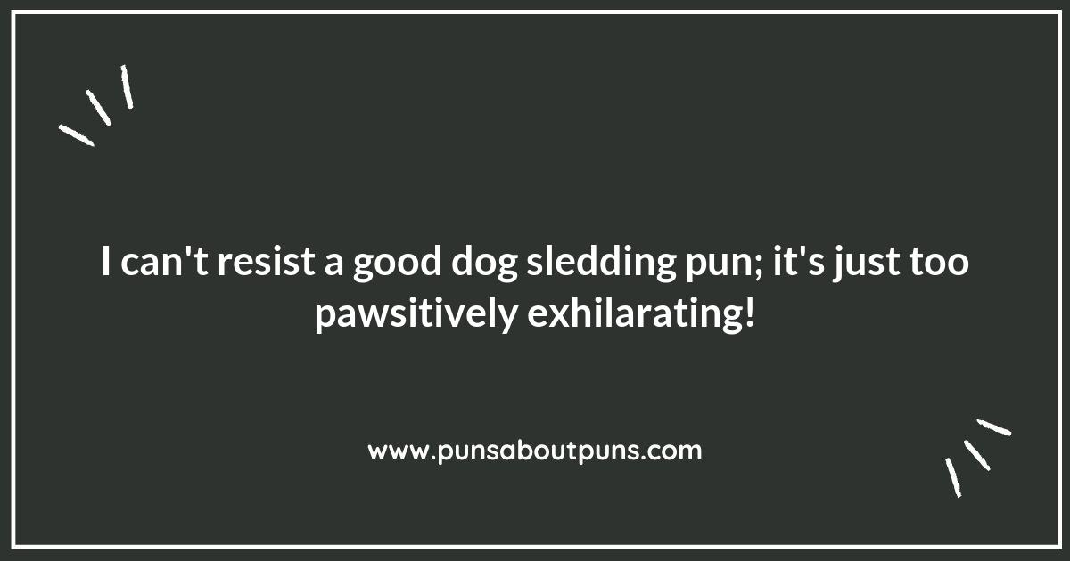 Dog Sledding Puns for Every Snowy Occasion