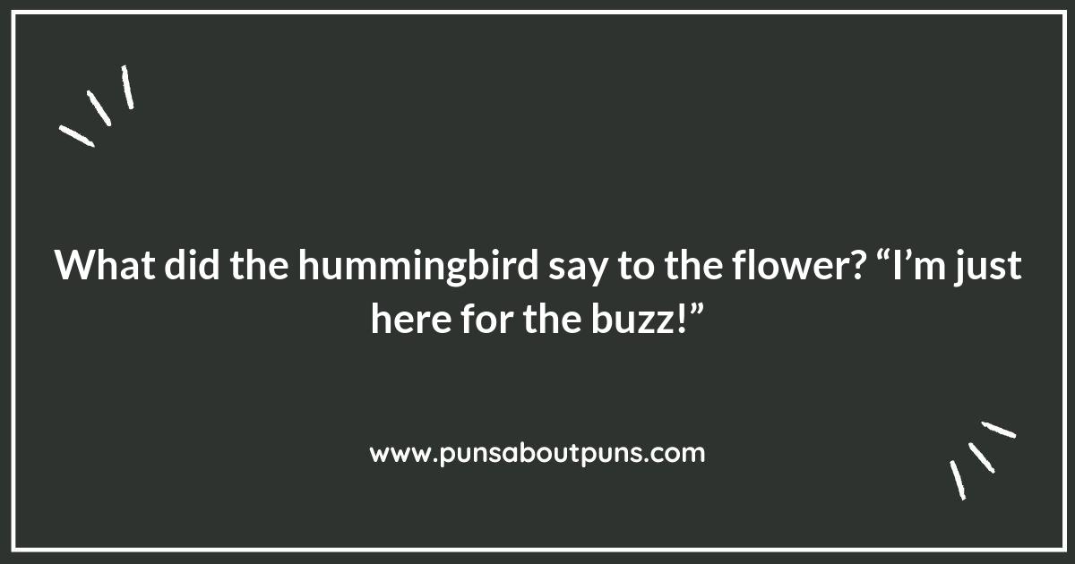 Hummingbird Puns: Dive into the World of Avian Amusement