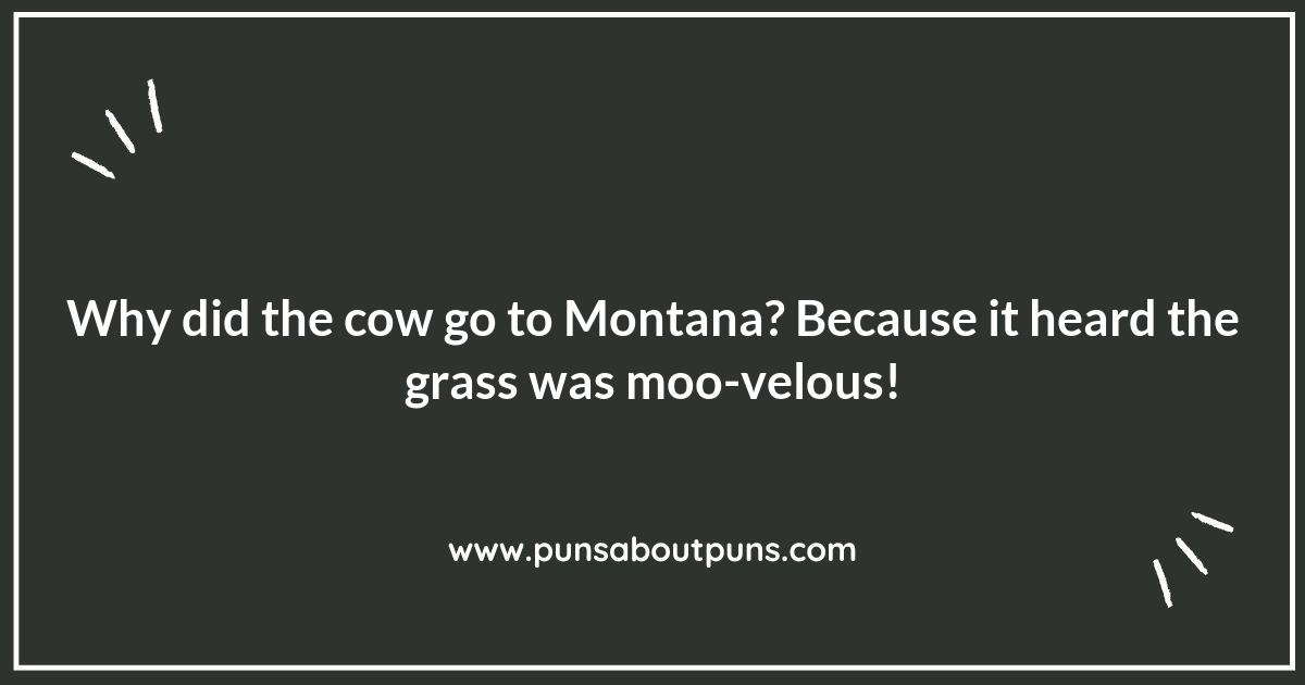 Laughing in the Land of Mountains: Montana Puns