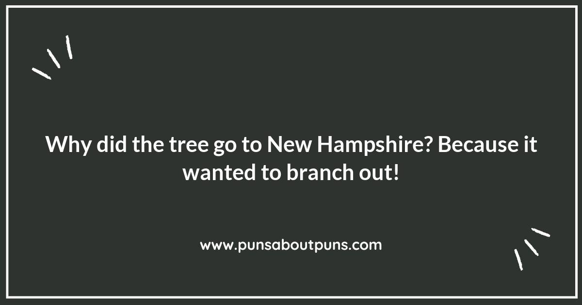 New Hampshire Puns: A Forest Full of Fun