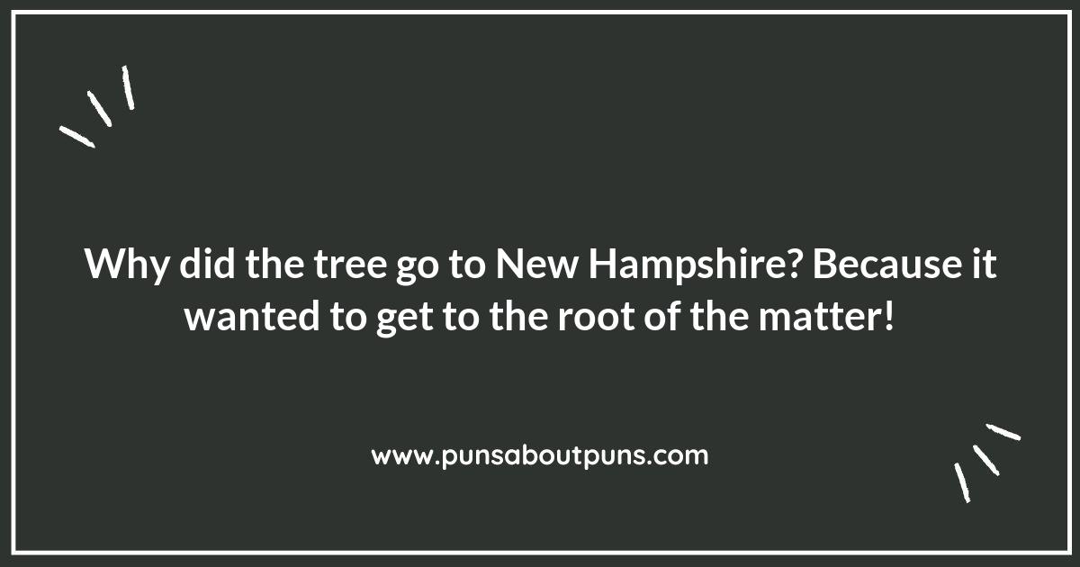 New Hampshire Puns: From Concord to Comedy