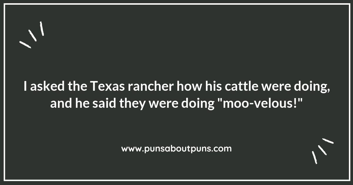 Texas Puns