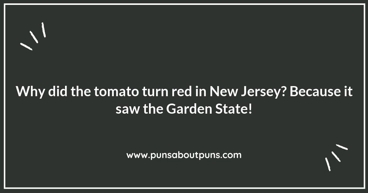 The Best New Jersey Puns for Every Season