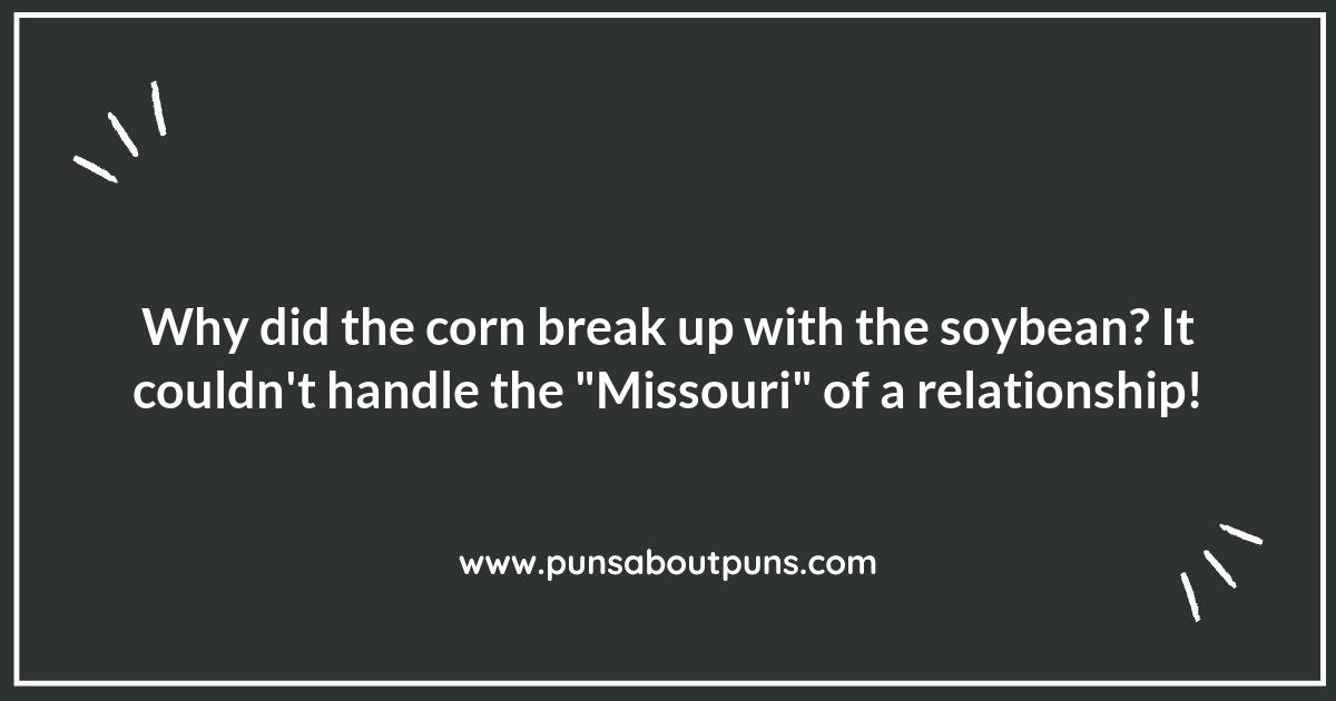 The Funniest Missouri Puns You'll Ever Hear