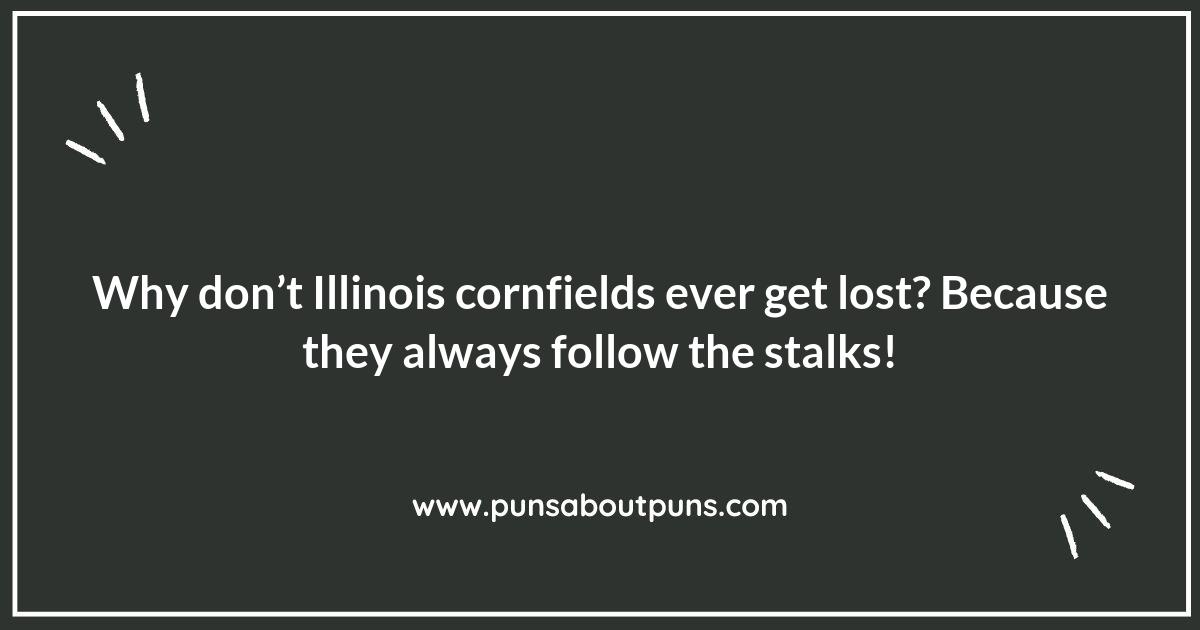 The Prairie State of Mind: Enjoy These Illinois Puns