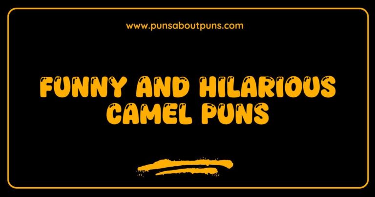 Funny Camel Puns That Will Make You Laugh and Say Hump Day