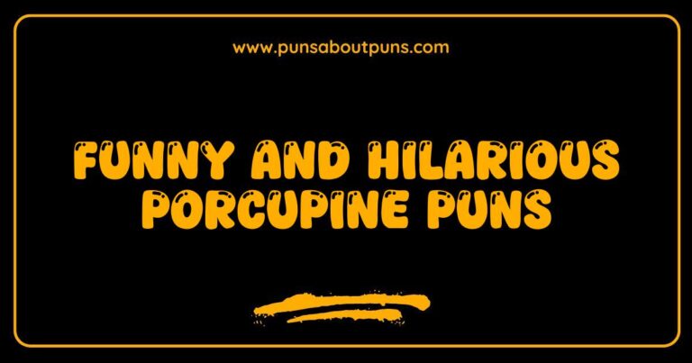 Funny Porcupine Puns That Will Prickle Your Funny Bone