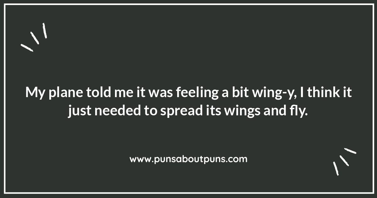 Aviation Navigation Puns: Taking Humor to New Heights Aviation Navigation Puns: Taking Humor to New Heights