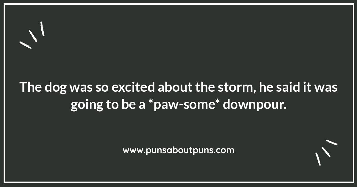 Raining Cats and Dogs: Weather-Related Puns for Kids