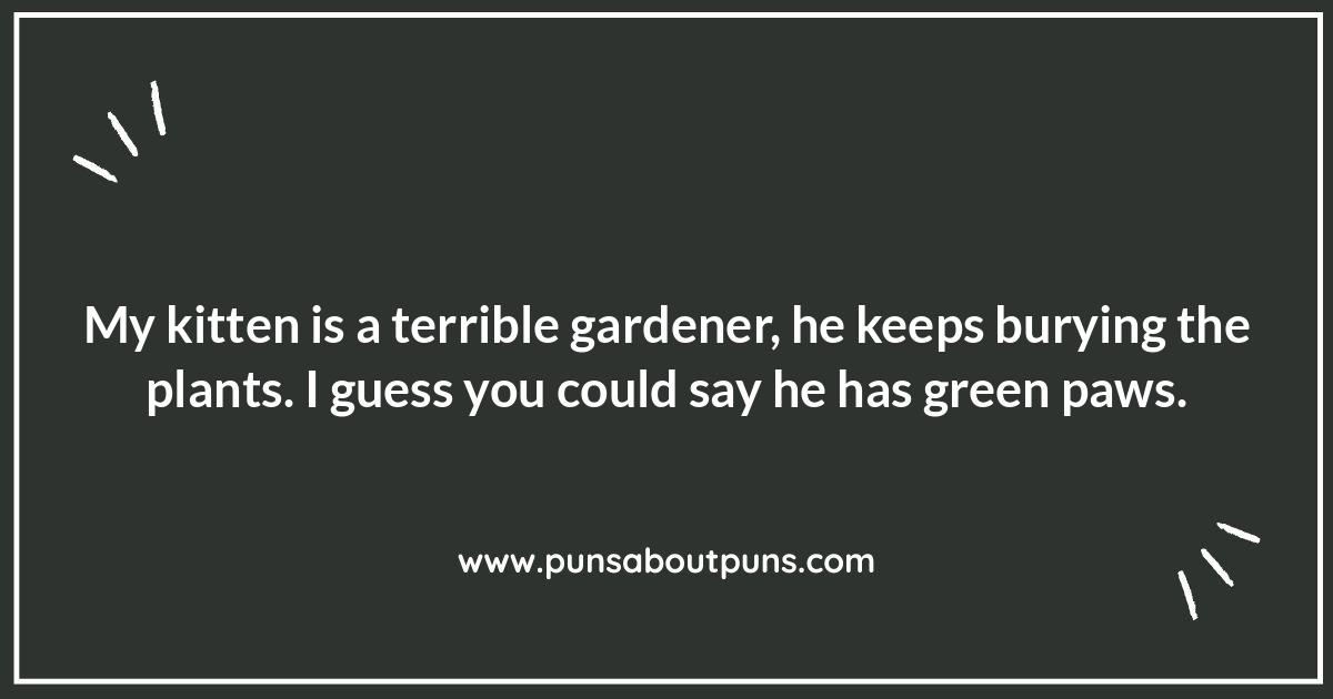 Kitten Jokes That Are Paw-sitively Hilarious: Guaranteed Laughs Kitten Jokes That Are Paw-sitively Hilarious: Guaranteed Laughs