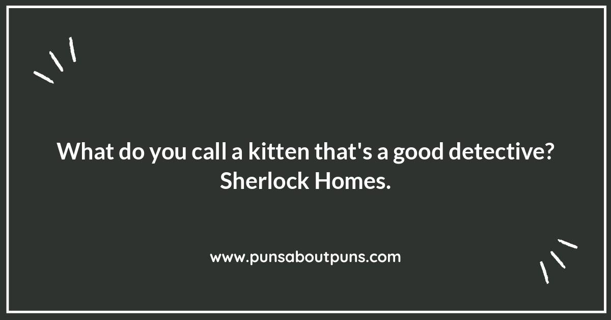 Kitten Jokes from Cat Lovers: By Cat People, For Cat People Kitten Jokes from Cat Lovers: By Cat People, For Cat People