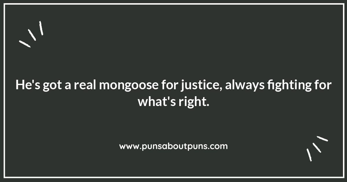 Mongoose Jokes: A Python's Worst Nightmare Mongoose Jokes: A Python's Worst Nightmare