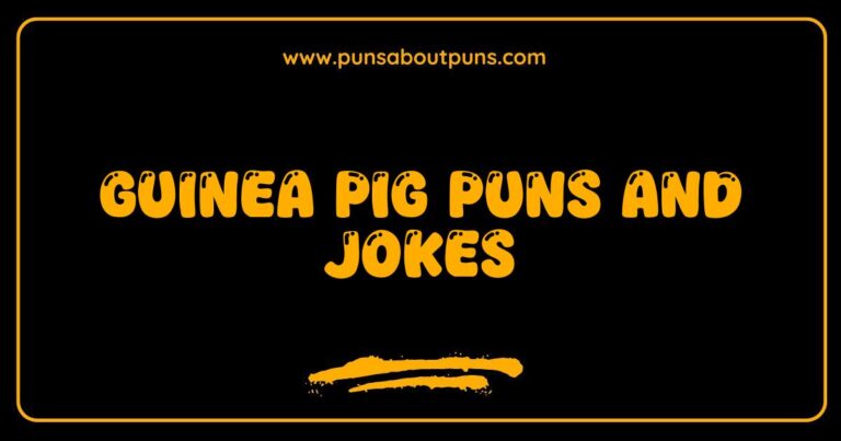 Here are a few options for SEO-optimized alt text for an image related to 'Guinea Pig Puns and Jokes', catering to different image scenarios: **Option 1 (General Image of a Guinea Pig):** `Funny guinea pig with a playful expression, perfect for guinea pig puns and jokes.` **Option 2 (Image with Text/Pun):** `Guinea pig wearing a tiny crown, paired with a funny guinea pig pun about being royalty.` **Option 3 (Image Illustrating a Joke):** `Illustration of a guinea pig holding a tiny map, depicting a funny guinea pig joke about navigation.` **Option 4 (Multiple Guinea Pigs):** `Group of adorable guinea pigs, the inspiration behind many hilarious guinea pig puns and jokes.` **Explanation of Choices:** * **Keyword Inclusion:** The phrase guinea pig puns and jokes is naturally woven into each alt text. * **Descriptive:** The alt text