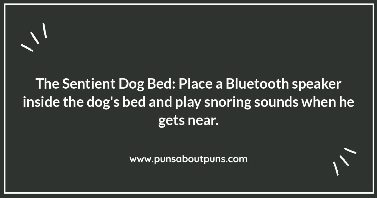 Pet-Related Pranks for Husband: Furry Fun Pet-Related Pranks for Husband: Furry Fun