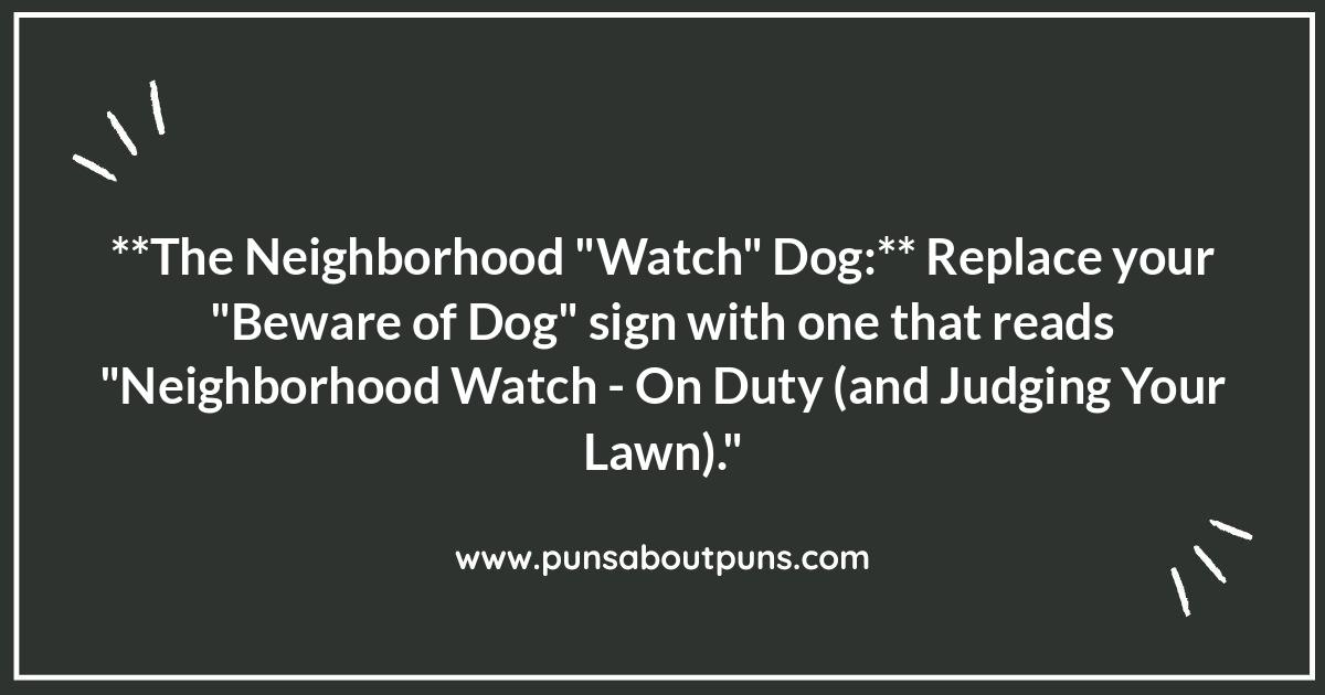 Pet Owner Prank Ideas: Safely Staging a Great Escape Pet Owner Prank Ideas: Safely Staging a Great Escape