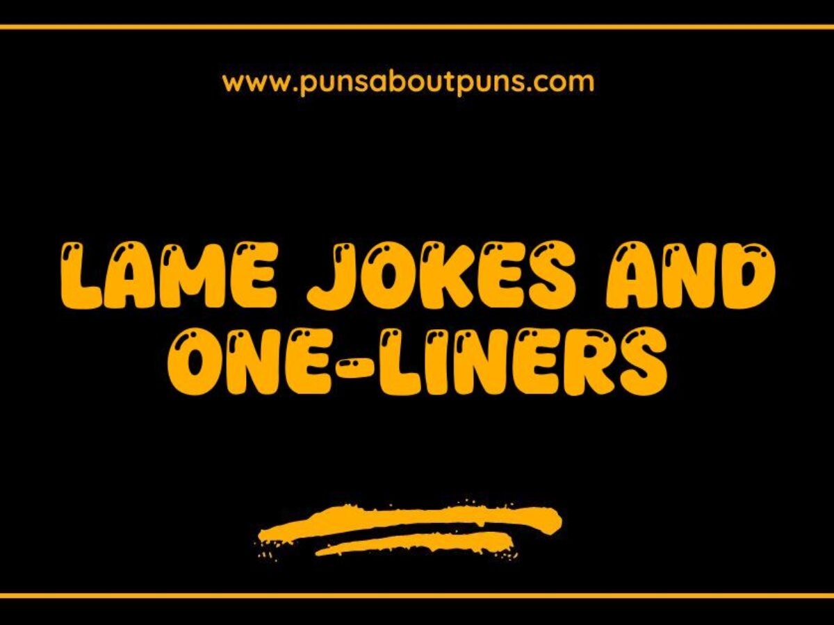 150 Best Lame Jokes and One-Liners So Bad They're Hilarious - Puns About  Puns, image size:1200x900