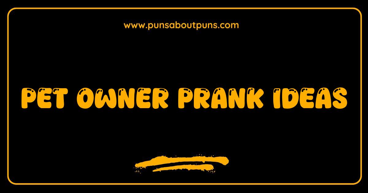Best Pet Owner Pranks Hilarious and Harmless Pranks to Play on Your Furry Friend Best Pet Owner Pranks Hilarious and Harmless Pranks to Play on Your Furry Friend